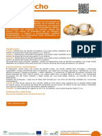 17 Berberecho PDF