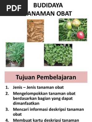 Budidaya Tanaman Obat Pdf