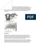 Endometritis.docx