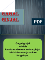 Gagal Ginjal