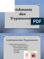 Leismania trypanosoma rev 4.pptx