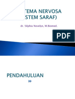 Anatomi - Sistem Syaraf Pusat