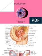 Cervical Cancer