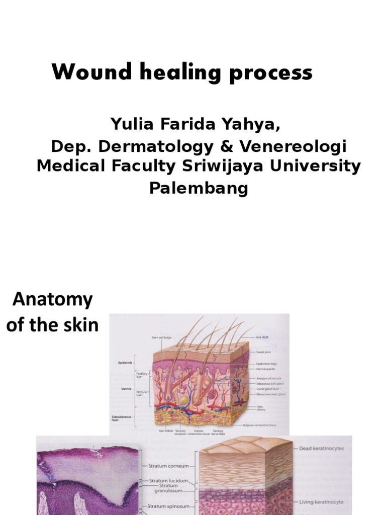 Wound Healing Process Explained | PDF | Wound Healing | Healing