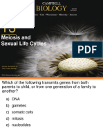 Biology: Meiosis and Sexual Life Cycles