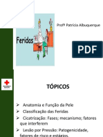 6ªAULA  FERIDAS E CURATIVOS.pdf