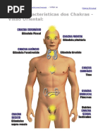 2. Os 07 Chacras Magnos