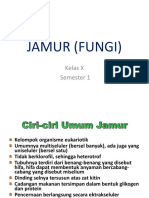 Jamur Lengkap (Fungi)