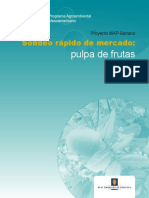 125166561 Sondeo Pulpa de Frutas Exoticas Araza