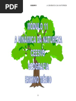 Geografia - CEESVO - Apostila - Módulo 11