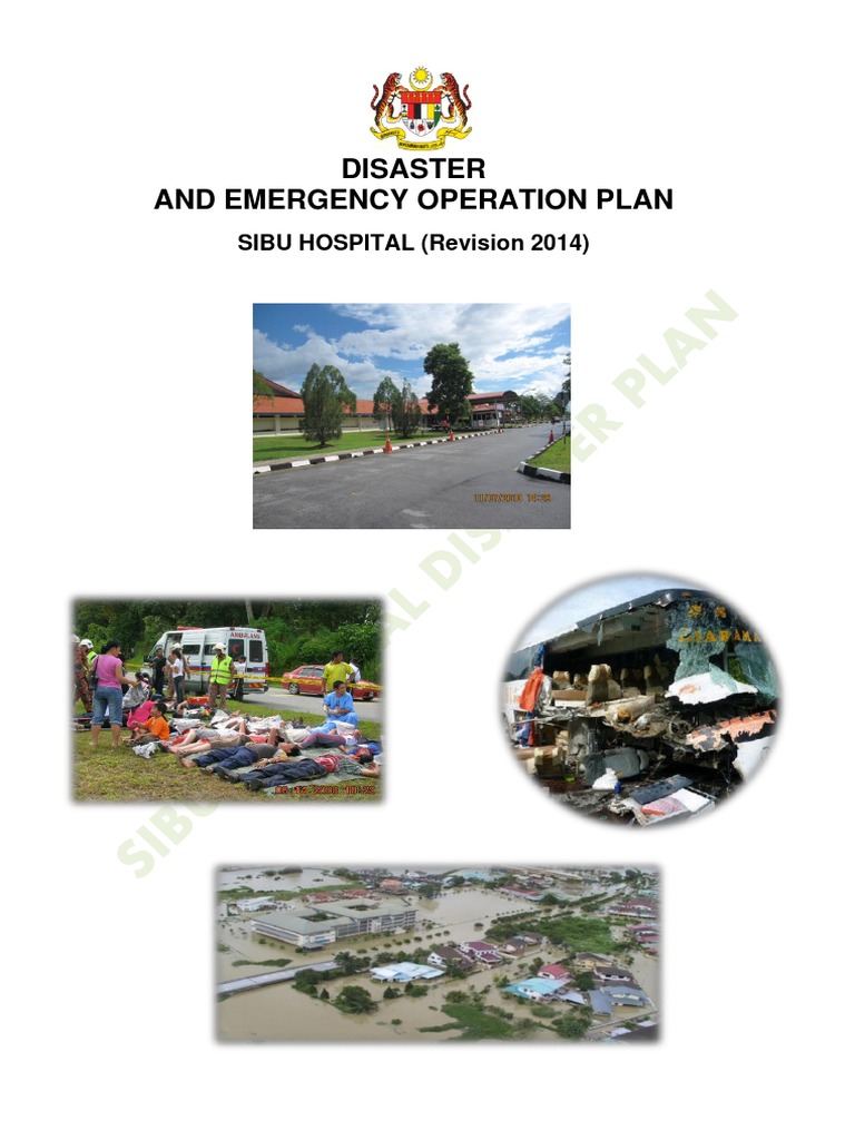 DisasterPlan PDF | PDF | Emergency Department | Emergency Medical Services