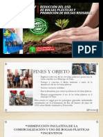 Presentacion Ley de Bolsas Plasticas PDF
