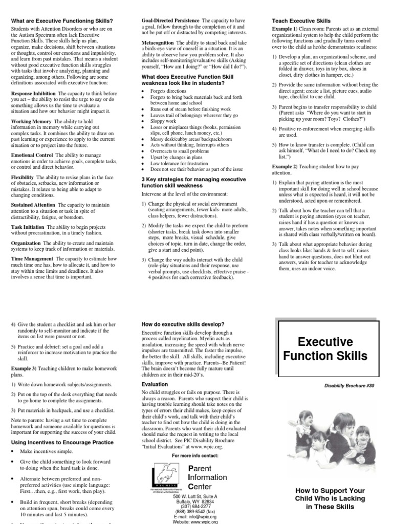 Supporting Executive Function Skills | PDF | Executive Functions ...