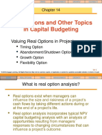 Real Options and Other Topics in Capital Budgeting