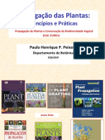 1 - Apresentação PDF