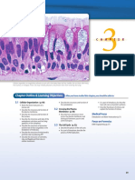 Cell Structure and Function: Chapter Outline & Learning Objectives