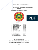 Snake Bite Revision Document PDF