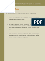 Portafolio1. TEMA 1 UNIDAD 1.pdf