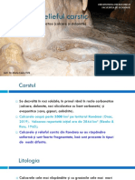 4 - Carstul Dezvoltat in Roci Carbonatice PDF