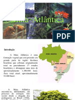 Mata Atlantica PDF