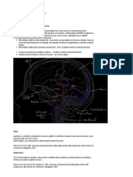 Avc PDF