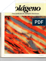 Colágeno PDF
