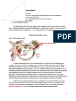 6.1 Principalele Forme de Glomerulopatii