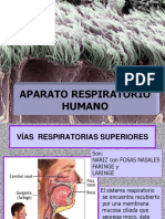 Aparato Respiratorio Humano2018
