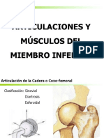 Articulaciones y Músculos Del Miembro Inferior