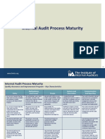 IIA Maturity Model PDF