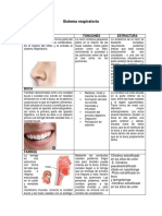 Sistema Respiratorio