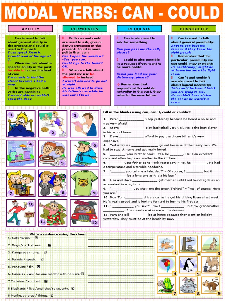 Understanding Can and Could Usage | PDF | Grammar