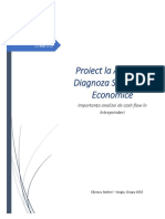 Analiza Cash Flow-Ului in Intreprinderi
