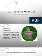 Bienes y Servicios Ambientales PDF