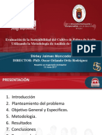 presentacion corregida shirley.ppt