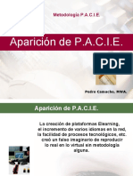 P.A.C.I.E.pdf