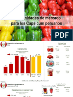 1. Juan Portugal - Oportunidades de Mercado Para Los Capsicum Peruanos PROMPERU - MODULO 3