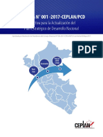 Directiva vigente.pdf