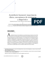 Acinetobacter Baumannii: Importancia: Clínica, Mecanismos de Resistencia y Diagnóstico