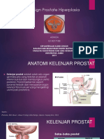 Benign Prostate Hiperplasia: Adinda G1A217100