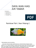 Budidaya Ikan Hias Air Tawar