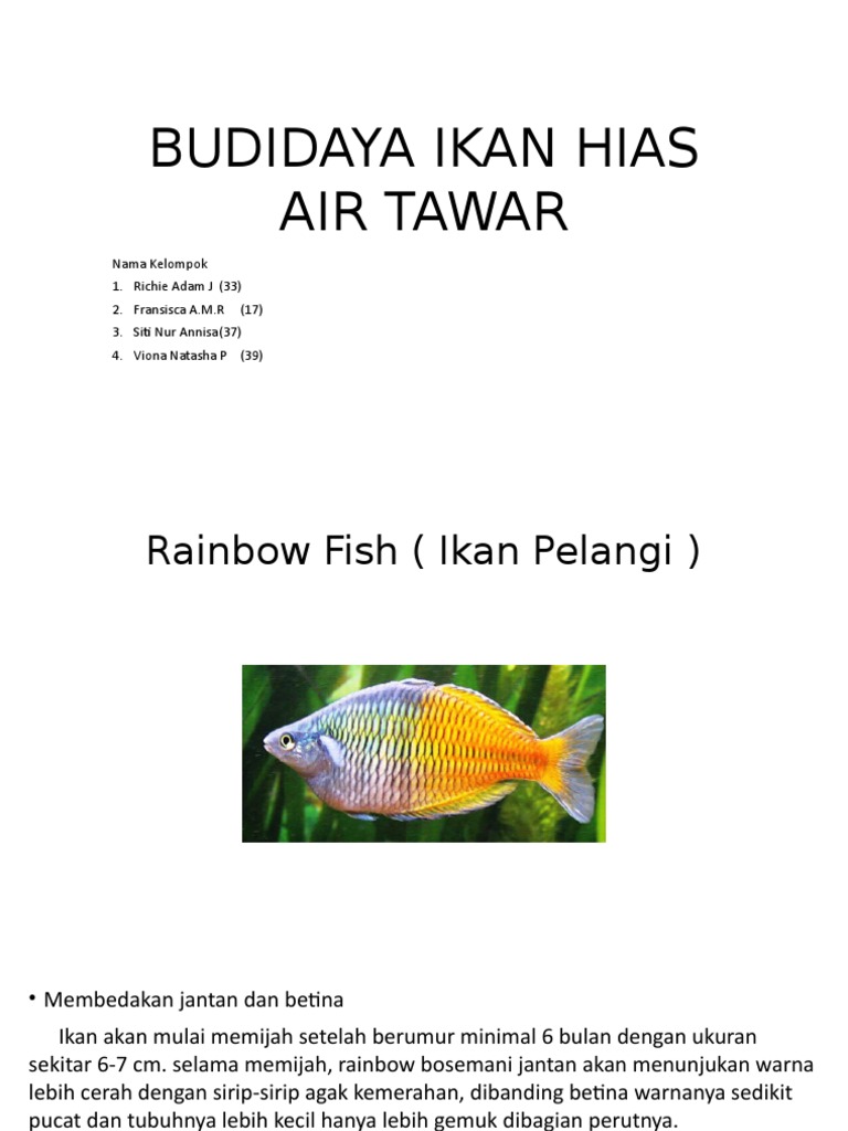 Budidaya Ikan Hias Air Tawar Pptx