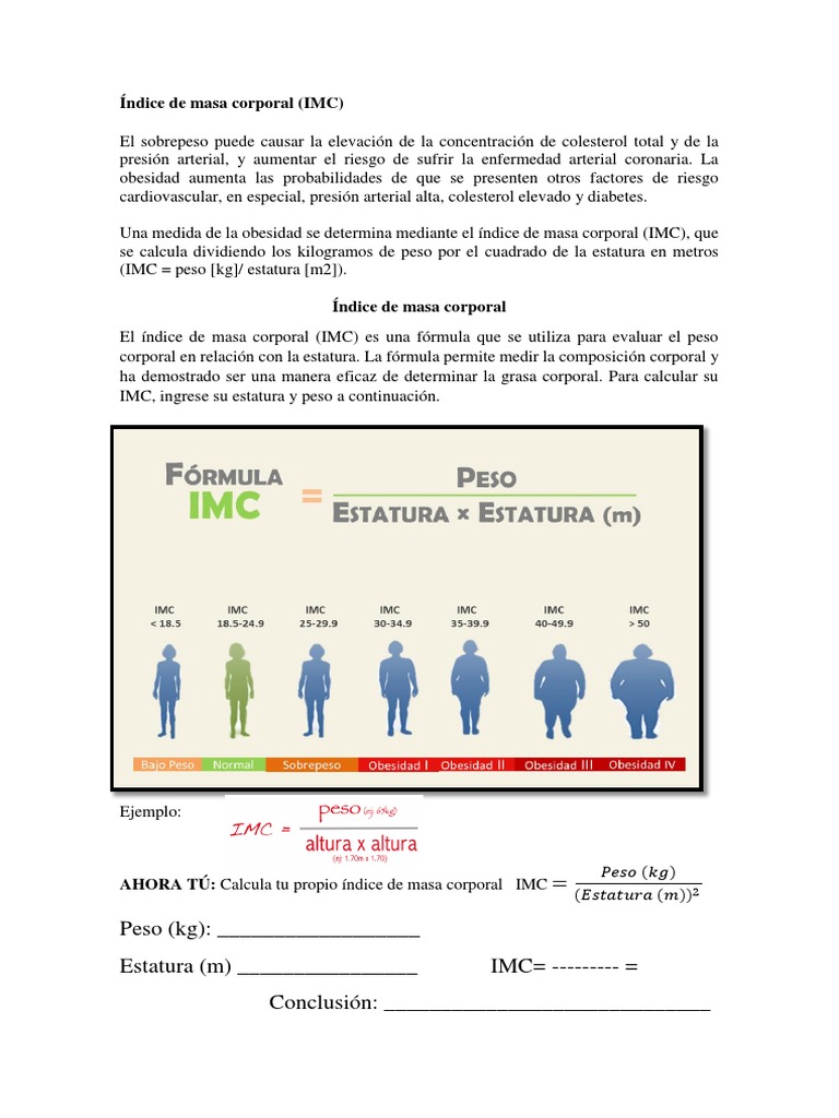 Índice de Masa Corporal | PDF