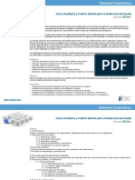 curso-auditoria-y-control-interno-para-la-deteccion-de-fraude.pdf