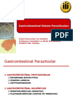 Gastrointestinal Parazitozlar