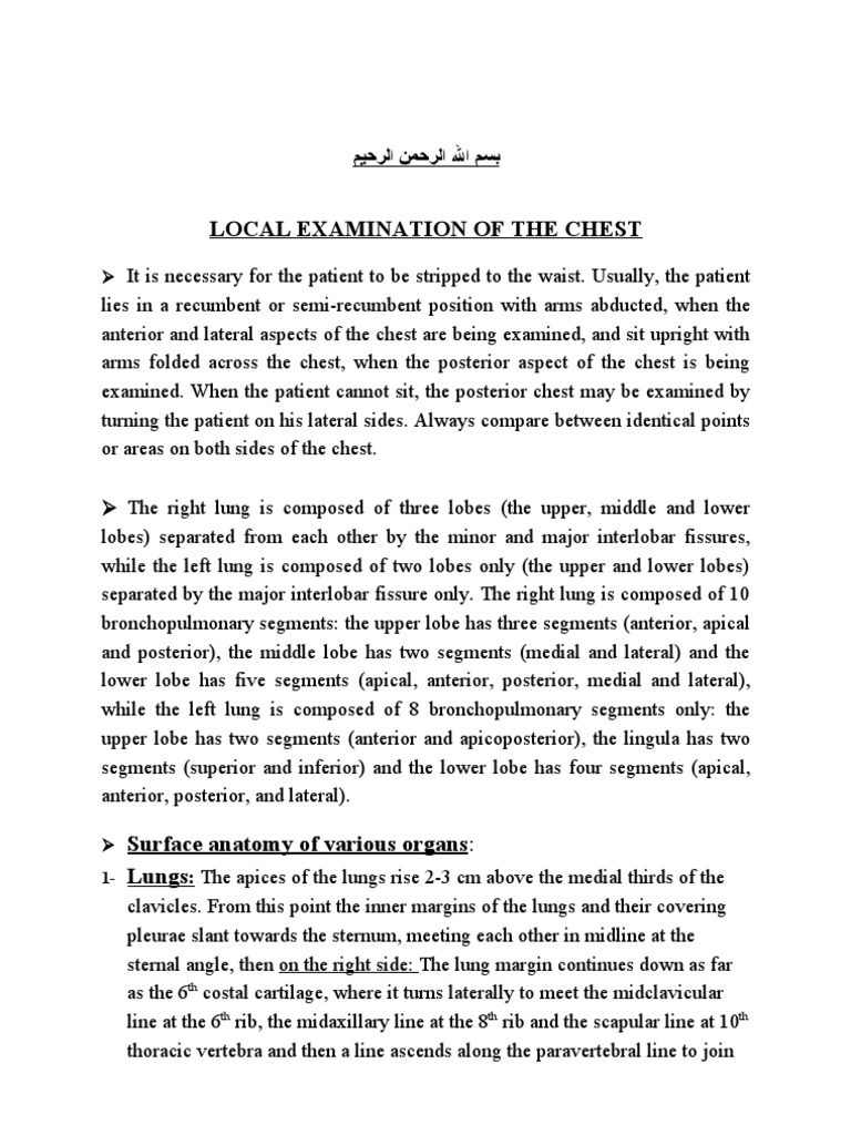 Local Examination | PDF