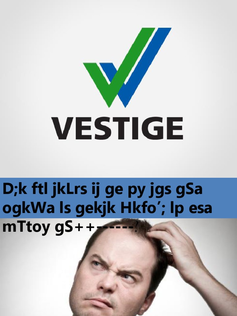 vestige plan book pdf in hindi