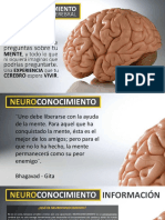 2017 Programa Neuroconocimiento, Entrenamiento Cerebral