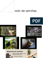 Animales y Sus Adaptaciones