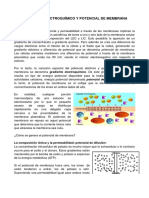 Membrana Potencial Clase PDF